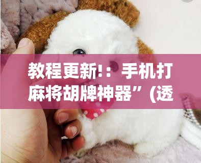 教程更新!：手机打麻将胡牌神器”(透视挂)辅助下载教程