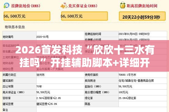2026首发科技“欣欣十三水有挂吗”开挂辅助脚本+详细开挂安装教程