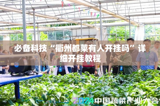 必备科技“衢州都莱有人开挂吗”详细开挂教程