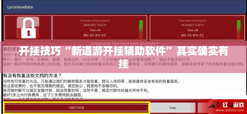 开挂技巧“新道游开挂辅助软件”其实确实有挂