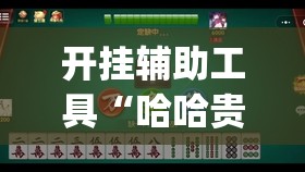开挂辅助工具“哈哈贵阳麻将有挂吗(透视)	”开挂辅助脚本+详细开挂安装教程