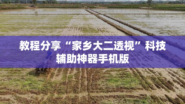 教程分享“家乡大二透视”科技辅助神器手机版