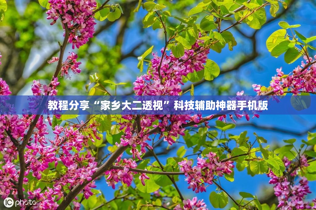 教程分享“家乡大二透视”科技辅助神器手机版