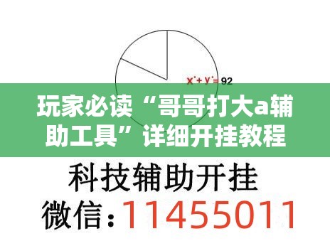 玩家必读“哥哥打大a辅助工具”详细开挂教程