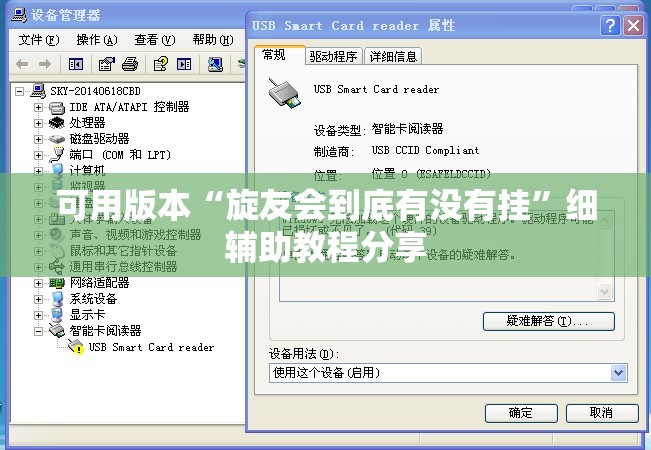 可用版本“旋友会到底有没有挂”细辅助教程分享