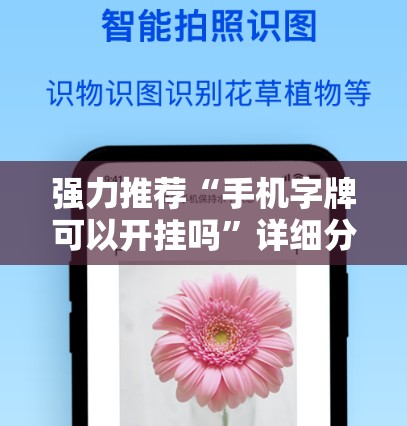 强力推荐“手机字牌可以开挂吗	”详细分享装挂步骤