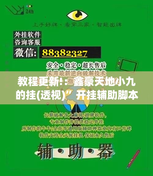 教程更新!：鑫豪天地小九的挂(透视)”开挂辅助脚本+详细开挂安装教程