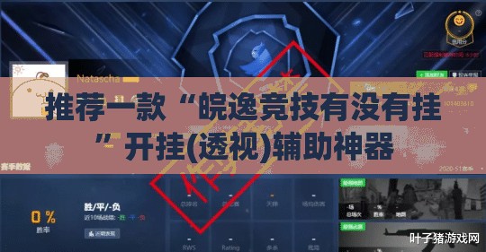 推荐一款“皖逸竞技有没有挂”开挂(透视)辅助神器