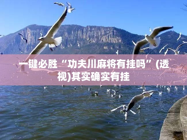 一键必胜“功夫川麻将有挂吗”(透视)其实确实有挂
