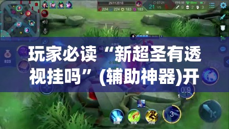 玩家必读“新超圣有透视挂吗”(辅助神器)开挂详细教程