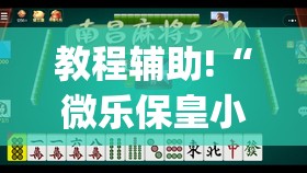 教程辅助!“微乐保皇小程序怎么抓好牌(透视)”开挂辅助脚本+详细开挂安装教程