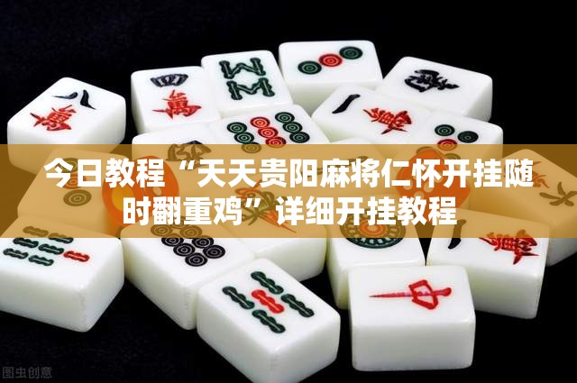 今日教程“天天贵阳麻将仁怀开挂随时翻重鸡”详细开挂教程