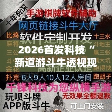 2026首发科技“新道游斗牛透视现场安装”详细开挂教程
