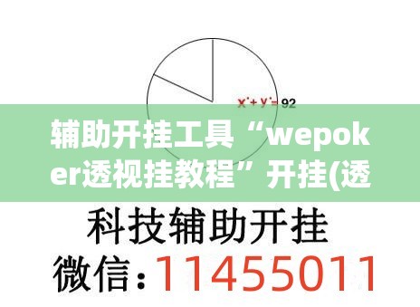 辅助开挂工具“wepoker透视挂教程”开挂(透视)辅助神器