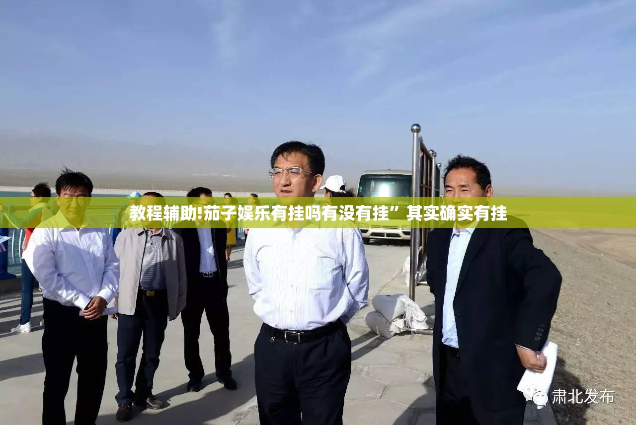 教程辅助!茄子娱乐有挂吗有没有挂	”其实确实有挂