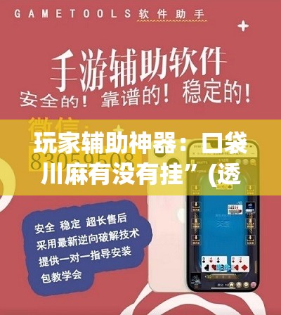 玩家辅助神器：口袋川麻有没有挂”(透视)其实确实有挂