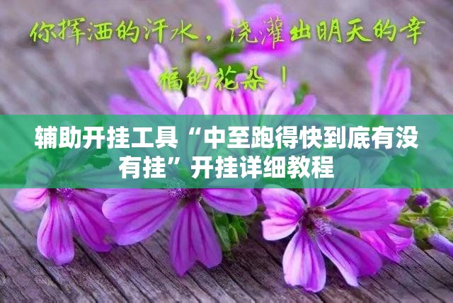 辅助开挂工具“中至跑得快到底有没有挂”开挂详细教程