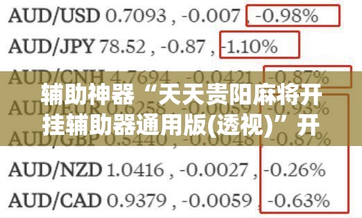 辅助神器“天天贵阳麻将开挂辅助器通用版(透视)	”开挂辅助脚本+详细开挂安装教程