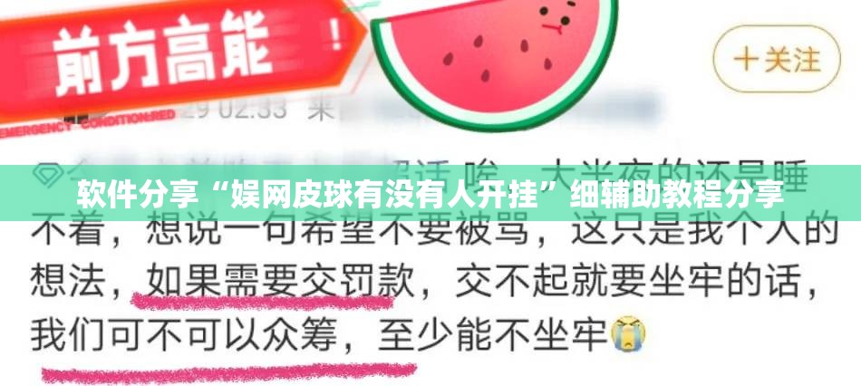 软件分享“娱网皮球有没有人开挂”细辅助教程分享