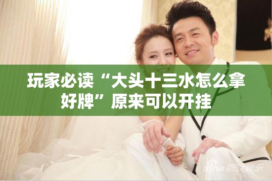 玩家必读“大头十三水怎么拿好牌	”原来可以开挂