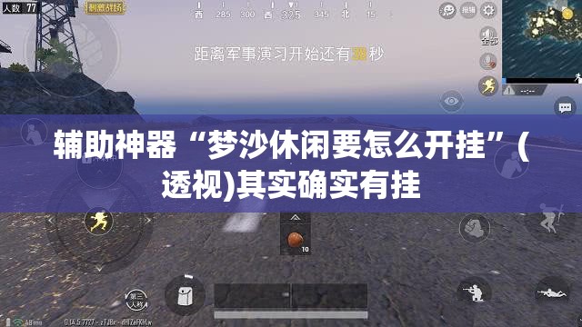 辅助神器“梦沙休闲要怎么开挂”(透视)其实确实有挂