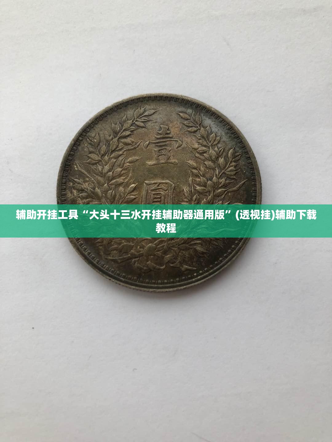 辅助开挂工具“大头十三水开挂辅助器通用版”(透视挂)辅助下载教程