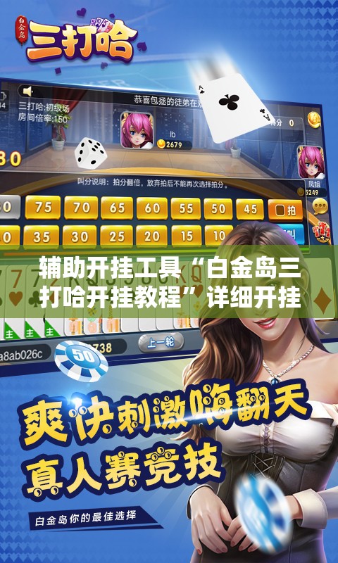 辅助开挂工具“白金岛三打哈开挂教程”详细开挂教程