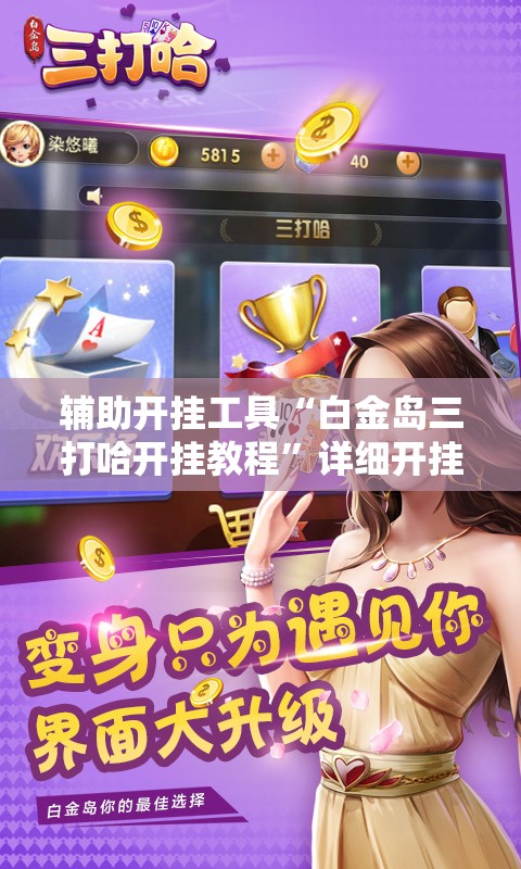 辅助开挂工具“白金岛三打哈开挂教程”详细开挂教程