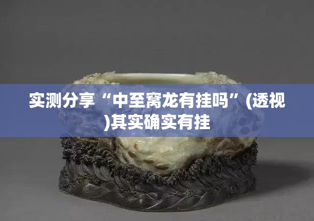 实测分享“中至窝龙有挂吗”(透视)其实确实有挂