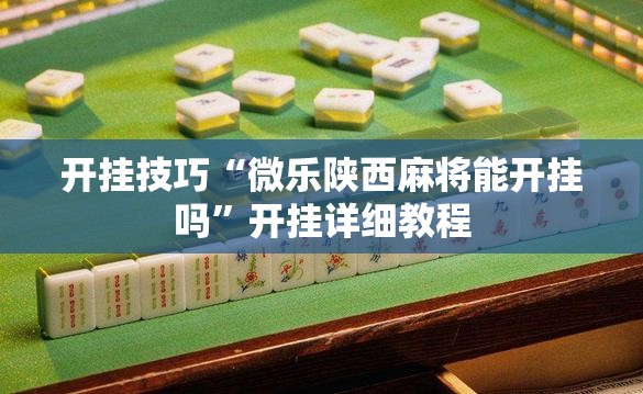 开挂技巧“微乐陕西麻将能开挂吗”开挂详细教程