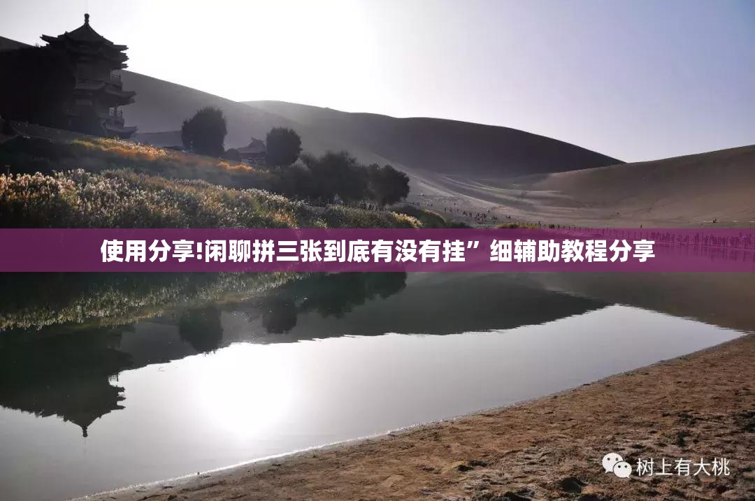 使用分享!闲聊拼三张到底有没有挂”细辅助教程分享