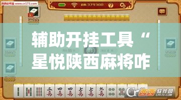 辅助开挂工具“星悦陕西麻将咋样开挂	”(透视挂)辅助下载教程