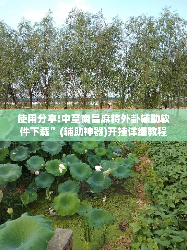 使用分享!中至南昌麻将外卦辅助软件下载”(辅助神器)开挂详细教程