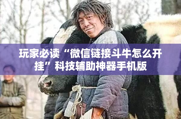 玩家必读“微信链接斗牛怎么开挂	”科技辅助神器手机版