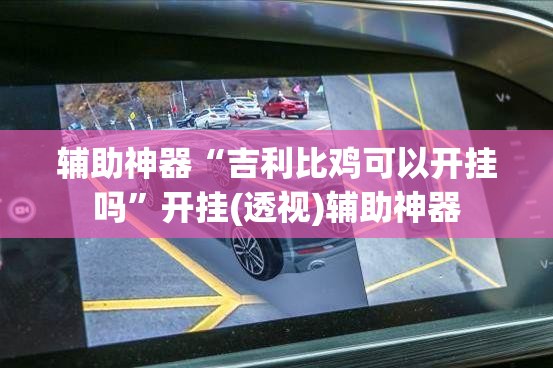 辅助神器“吉利比鸡可以开挂吗	”开挂(透视)辅助神器