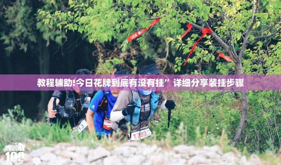 教程辅助!今日花牌到底有没有挂”详细分享装挂步骤