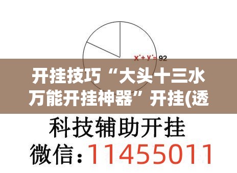 开挂技巧“大头十三水万能开挂神器”开挂(透视)最新辅助详细