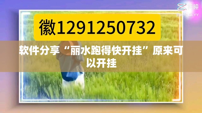 软件分享“丽水跑得快开挂”原来可以开挂