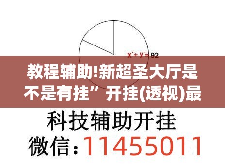 教程辅助!新超圣大厅是不是有挂”开挂(透视)最新辅助详细