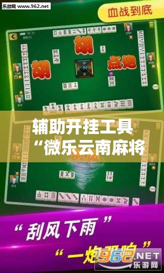 辅助开挂工具“微乐云南麻将怎么开挂”详细开挂教程