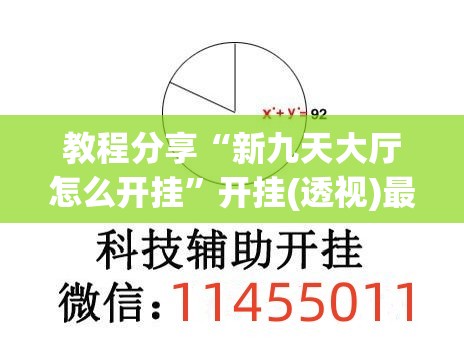教程分享“新九天大厅怎么开挂	”开挂(透视)最新辅助详细