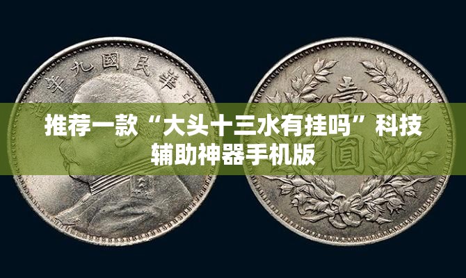 推荐一款“大头十三水有挂吗”科技辅助神器手机版