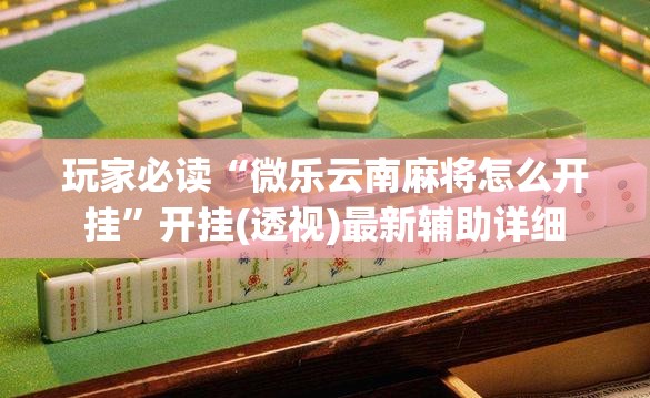 玩家必读“微乐云南麻将怎么开挂”开挂(透视)最新辅助详细