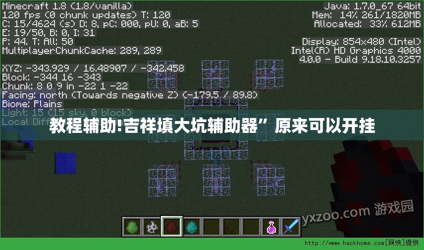 教程辅助!吉祥填大坑辅助器	”原来可以开挂