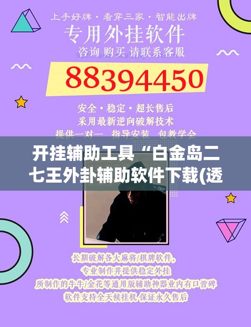 开挂辅助工具“白金岛二七王外卦辅助软件下载(透视)”开挂辅助脚本+详细开挂安装教程