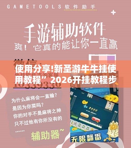 使用分享!新圣游牛牛挂使用教程	”2026开挂教程步骤