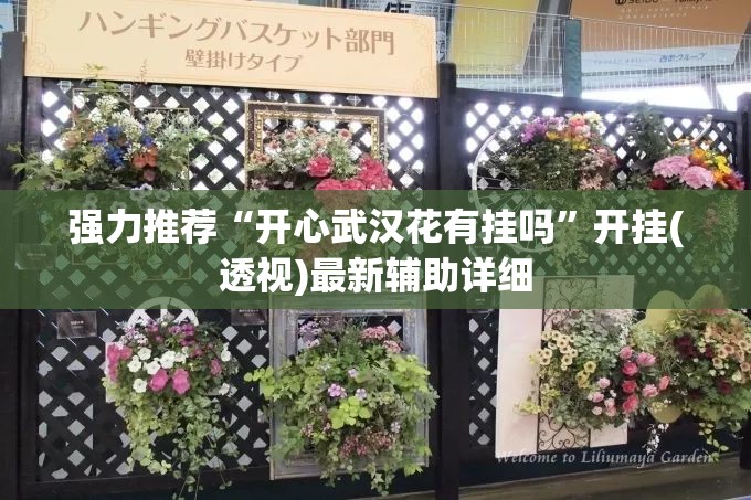 强力推荐“开心武汉花有挂吗”开挂(透视)最新辅助详细