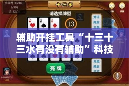 辅助开挂工具“十三十三水有没有辅助	”科技辅助神器手机版