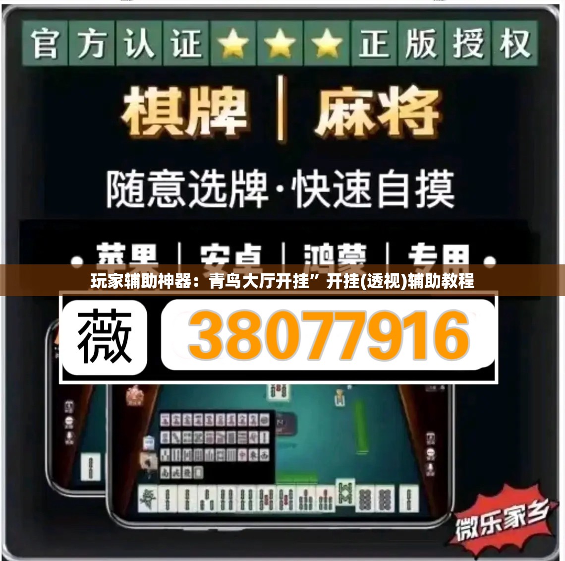 玩家辅助神器：青鸟大厅开挂”开挂(透视)辅助教程