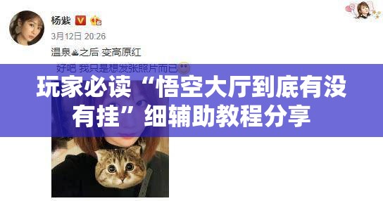 玩家必读“悟空大厅到底有没有挂	”细辅助教程分享